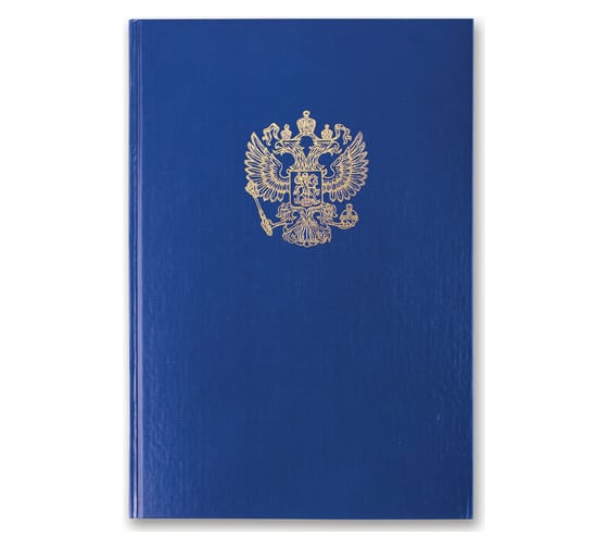 Книга учета BRAUBERG 96 листов, А4 200x290 мм клетка, твердая обложка из картона 130141