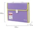 Пластиковая папка-портфель BRAUBERG JOY А4, 13 отделений, с окантовкой, фиолетовый 227977 7