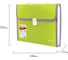 Пластиковая папка-портфель BRAUBERG JOY А4, 13 отделений, с окантовкой, салатовый 227974 7