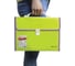 Пластиковая папка-портфель BRAUBERG JOY А4, 13 отделений, с окантовкой, салатовый 227974 8
