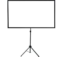 Экран на треноге Cactus 112x199 см X-type CS-PSTX-112x199 16:9 напольный x-type черный 1987775