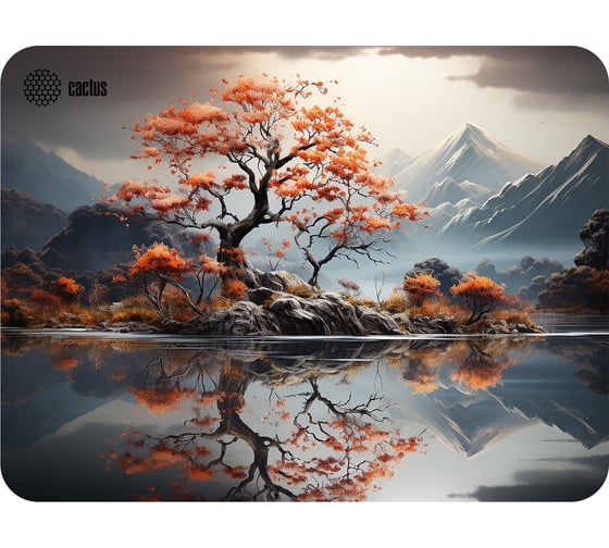 Коврик для мыши CACTUS Lake 400x300x3 мм (CS-MP-PRO18XL) 2028653 1
