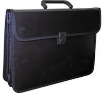 Пластиковая папка-портфель Attache на 2 отделения, А4, 370х275мм 49261