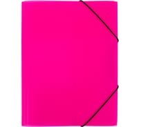 Папка на резинке Expert Complete 5 шт., A4, 600 мкм, 35 мм, эффект 3D PRISMA NEON розовый, EC210400013 679796