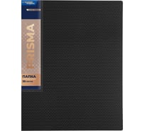 Папка Expert Complete 6 шт., с файлами-вкладышами 30 л., A4, 600 мкм, 20 мм, эффект 3D PRISMA, черный, EC211600001 742922