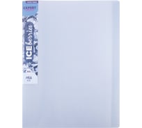Папка Expert Complete с файлами-вкладышами 20 л., A4, 600 мкм, 20 мм, 1 шт., Trend ICEberries лед, EC211520074 709288
