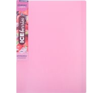 Папка Expert Complete с файлами-вкладышами 20 л., A4, 600 мкм, 20 мм, 1 шт., Trend ICEberries клубника, EC211520073 709292