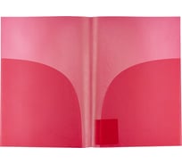 Папка-уголок Expert Complete 2 кармана, 20 шт., A4, 180 мкм, Premier красный new, EC21230004 721041