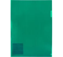 Папка-уголок Expert Complete 20 шт., A4, 180 мкм, Premier зеленый new, EC21030003 721034