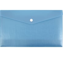 Папка-конверт Expert Complete 12 шт., с кнопкой, travel, 180 мкм, Trend ICEberries голубика, ЕС211120061 709308