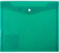Папка-конверт для тетрадей Expert Complete 20 шт., с кнопкой, A5+, 180 мкм, Premier зеленый new, ЕС2113003 709342