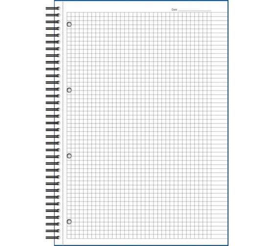 Бизнес-тетрадь Attache Selection LightBook 100 листов, клетка, А4, спираль, коричневая обложка, белый блок, 70 г/квм 494590