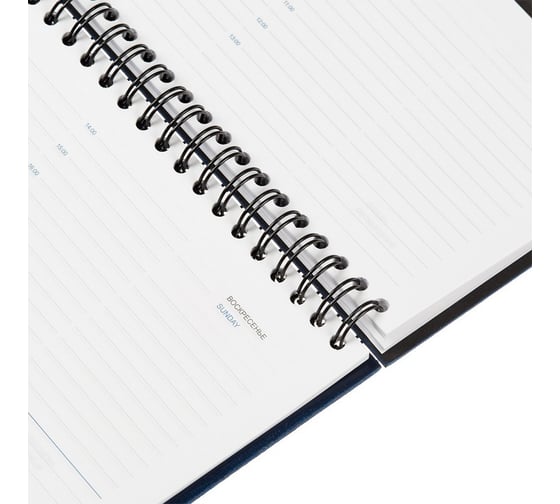 Недатированный планинг Attache Agenda синий, 303х150, 120 страниц 993725