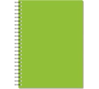 Бизнес-тетрадь Attache Bright colours А4, 96 листов, клетка, спираль, пластик, тонированный, лайм 1223697
