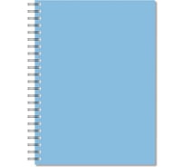 Бизнес-тетрадь Attache Bright colours А4, 96 листов,клетка, спираль, пластик, тонированный, голубой 1223699