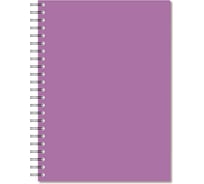 Бизнес-тетрадь Attache Bright colours А4, 96 листов, клетка, спираль, пластик, тонированный, сиреневый 1223698