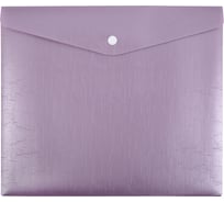 Папка-конверт Expert Complete 20 шт. для тетрадей с кнопкой A5+ 180 мкм Trend ICEberries ежевика ЕС211120052 709321