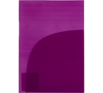 Папка-уголок Expert Complete (2 кармана) 20 шт. A4 180 мкм волокно Trend NEON пурпурный EC210030222 733374