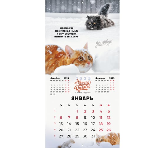 Календарь настенный перекидной 2025г,, 12 листов, 29x29см, Не падай духом, BRAUBERG 116163