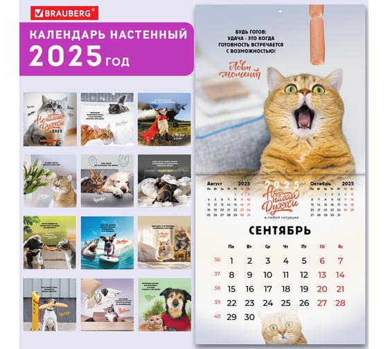 Календарь настенный перекидной 2025г,, 12 листов, 29x29см, Не падай духом, BRAUBERG 116163