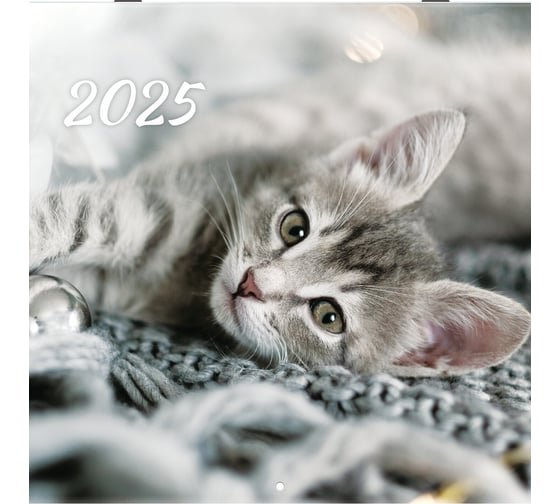 Календарь настенный перекидной 2025г,, 12 листов, 29x29см, Милые котики, BRAUBERG 116164