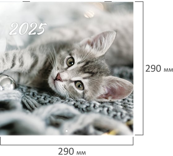 Календарь настенный перекидной 2025г,, 12 листов, 29x29см, Милые котики, BRAUBERG 116164