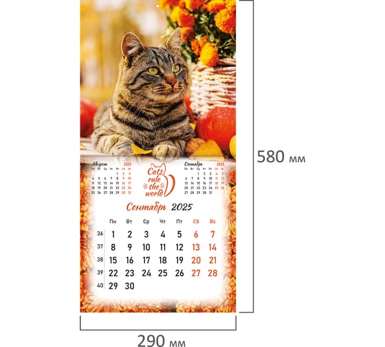 Календарь настенный перекидной 2025г,, 12 листов, 29x29см, Милые котики, BRAUBERG 116164