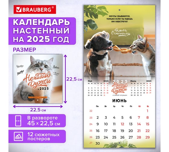 Календарь настенный перекидной 2025г,, 12 листов, 22,5x22,5см, МИНИ, Не падай духом, BRAUBERG 116178
