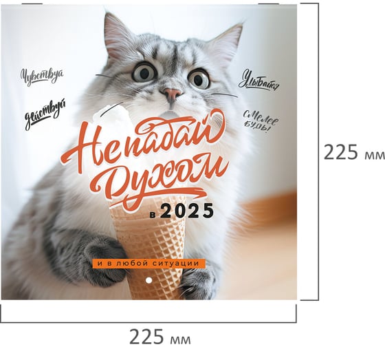 Календарь настенный перекидной 2025г,, 12 листов, 22,5x22,5см, МИНИ, Не падай духом, BRAUBERG 116178