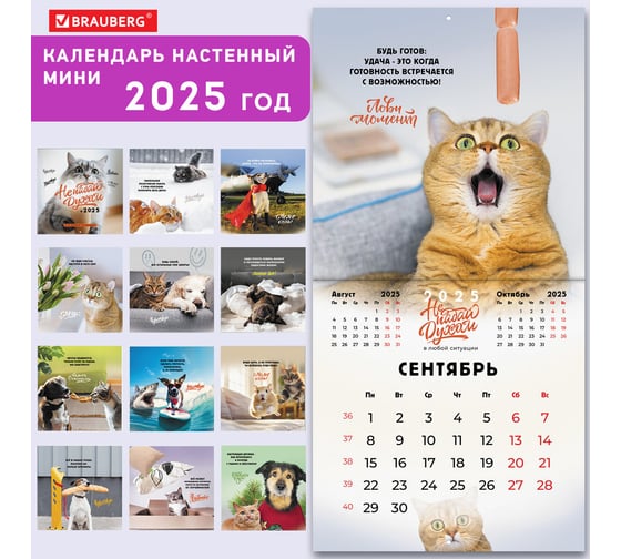 Календарь настенный перекидной 2025г,, 12 листов, 22,5x22,5см, МИНИ, Не падай духом, BRAUBERG 116178