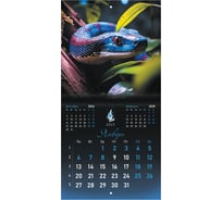 Календарь настенный перекидной 2025г,, 12 листов, 22,5x22,5см, МИНИ, Символ года, BRAUBERG 116183