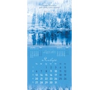 Календарь настенный перекидной 2025г,, 12 листов, 29x29см, Твоя вселенная, BRAUBERG 116160