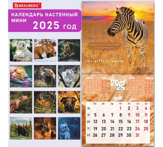 Календарь настенный перекидной 2025г,, 12 листов, 22,5x22,5см, МИНИ, Дикие животные, BRAUBERG 116179