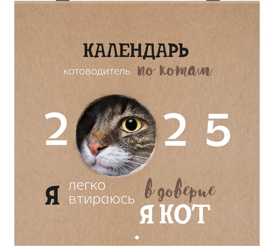 Календарь настенный перекидной 2025г,, 12 листов, 29x29см, Смешные котики, BRAUBERG 116165