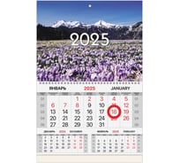 Календарь квартальный 2025г, 1 блок 1 гребень, магнит курсор, мел.бум,, Горы, BRAUBERG 116087