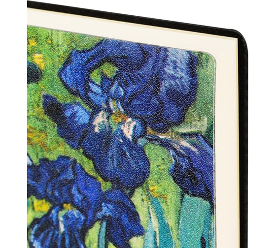 Ежедневник недатированный Deli VG, A5, 136 л, Ван Гог Ирисы, CN146-Blue 1740413
