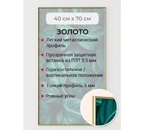 Фоторамка ООО Первое ателье золотая алюминиевая рамка 40x70 см Niel-2gm-40х70