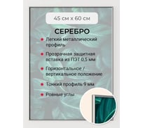 Фоторамка ООО Первое ателье серебристая алюминиевая рамка 45x60 см Niel-2sm-45х60