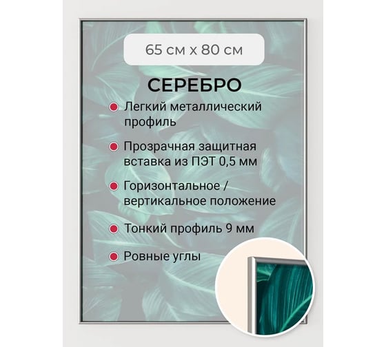 Фоторамка ООО Первое ателье серебристая алюминиевая рамка 65x80 см Niel-2sm-65х80 1