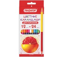 Двусторонние карандаши ПИФАГОР СОЧНЫЕ ФРУКТЫ 12 штук, 24 цвета, заточенные 181361