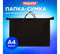 Папка ПИФАГОР на молнии с ручками А4, пластик, молния сверху, однотонная черная, 228236