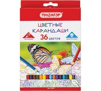 Цветные карандаши ПИФАГОР БАБОЧКИ 36 цветов, классические заточенные 181354