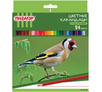 Пластиковые цветные карандаши ПИФАГОР ЛЕСНЫЕ ЖИТЕЛИ, 24 цвета, классические заточенные, 181336