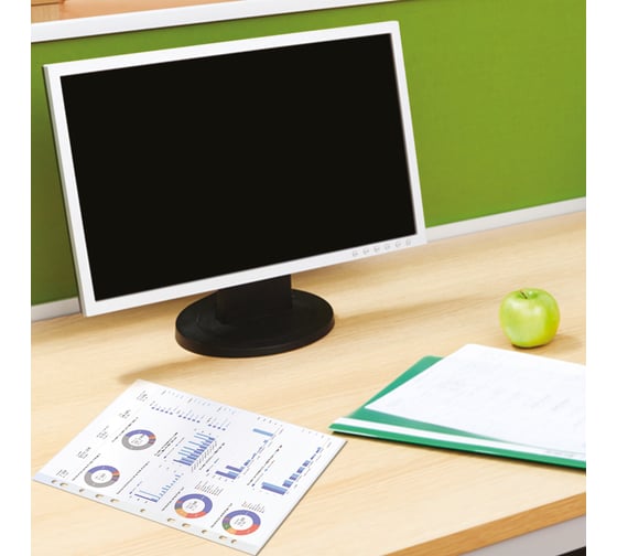 Перфорированные матовые папки-файлы BRAUBERG STANDARD А4, комплект 100 шт, 40 мкм 229660
