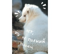 Книга для записей listoff КЗ5803979