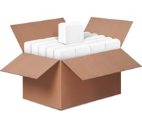 Салфетки для диспенсера Бумага Сити 2 слоя, 200 листов, белые, 30 шт. БС-2-200-ДС(кор)/М