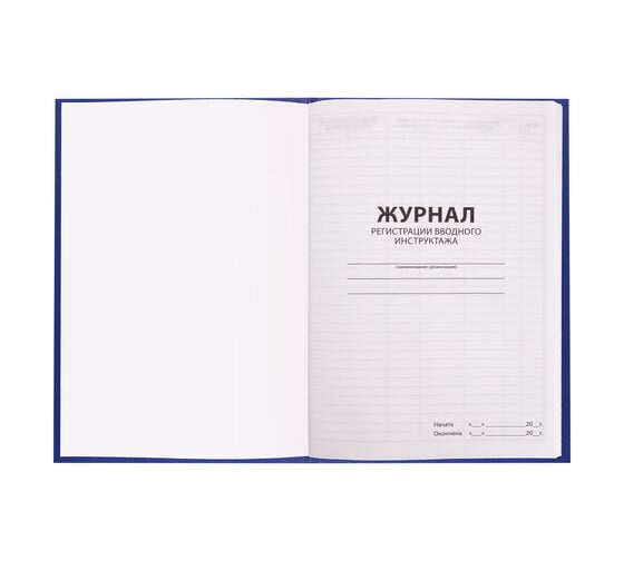 Журнал регистрации вводного инструктажа BRAUBERG 96 листов, А4 200х290 мм, бумвинил, офсет, 130258