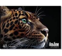 Папка для акварели BRAUBERG А4, 40 л, бумага 200 г/м2, склейка, обложка картон, Леопард, 107130