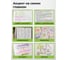 Набор текстовыделителей Staff 4 пастельных цвета, ассорти, College Stick Pastel, линия письма 1-4 мм, скошенный наконечник, 152531 8
