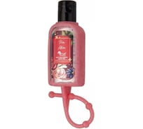 Антибактериальный гель для рук Arya Home Arya Pure Allure 30 мл, красный 8680943233714